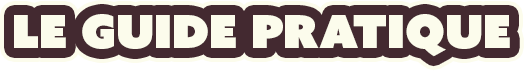 Titre le guide pratique